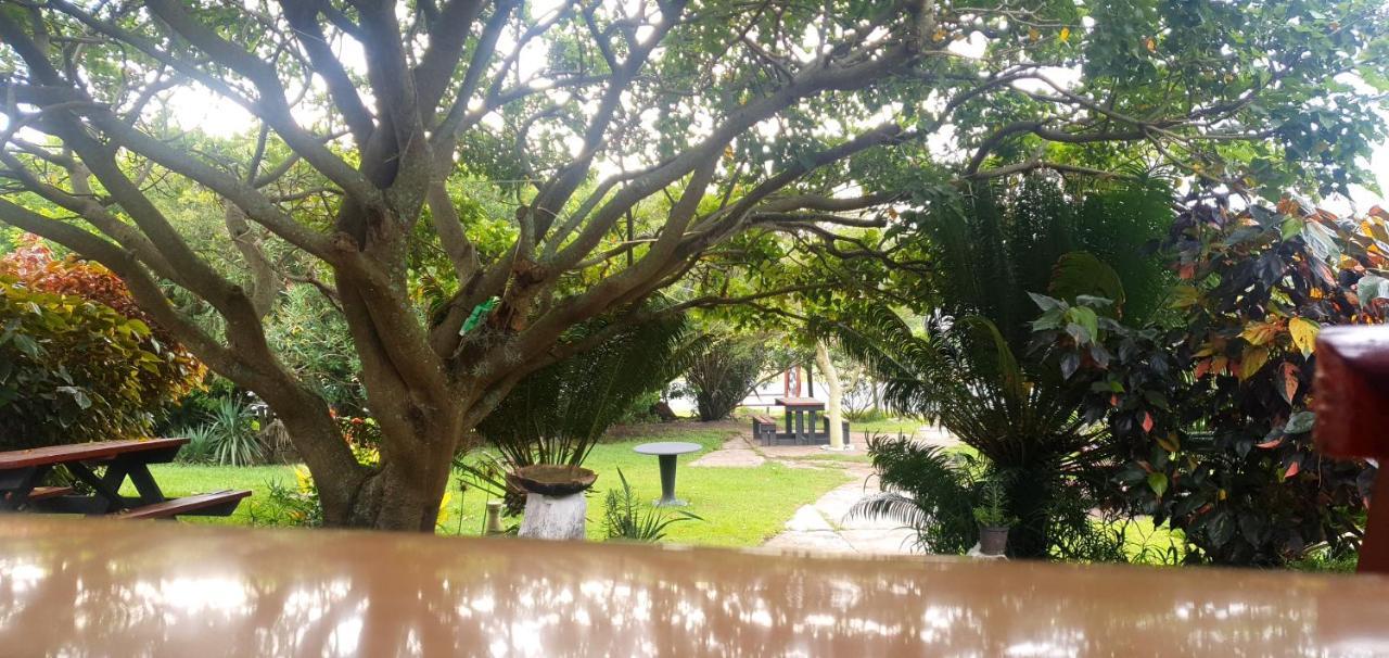 Sunset Bed And Breakfast Coffee Bay Buitenkant foto