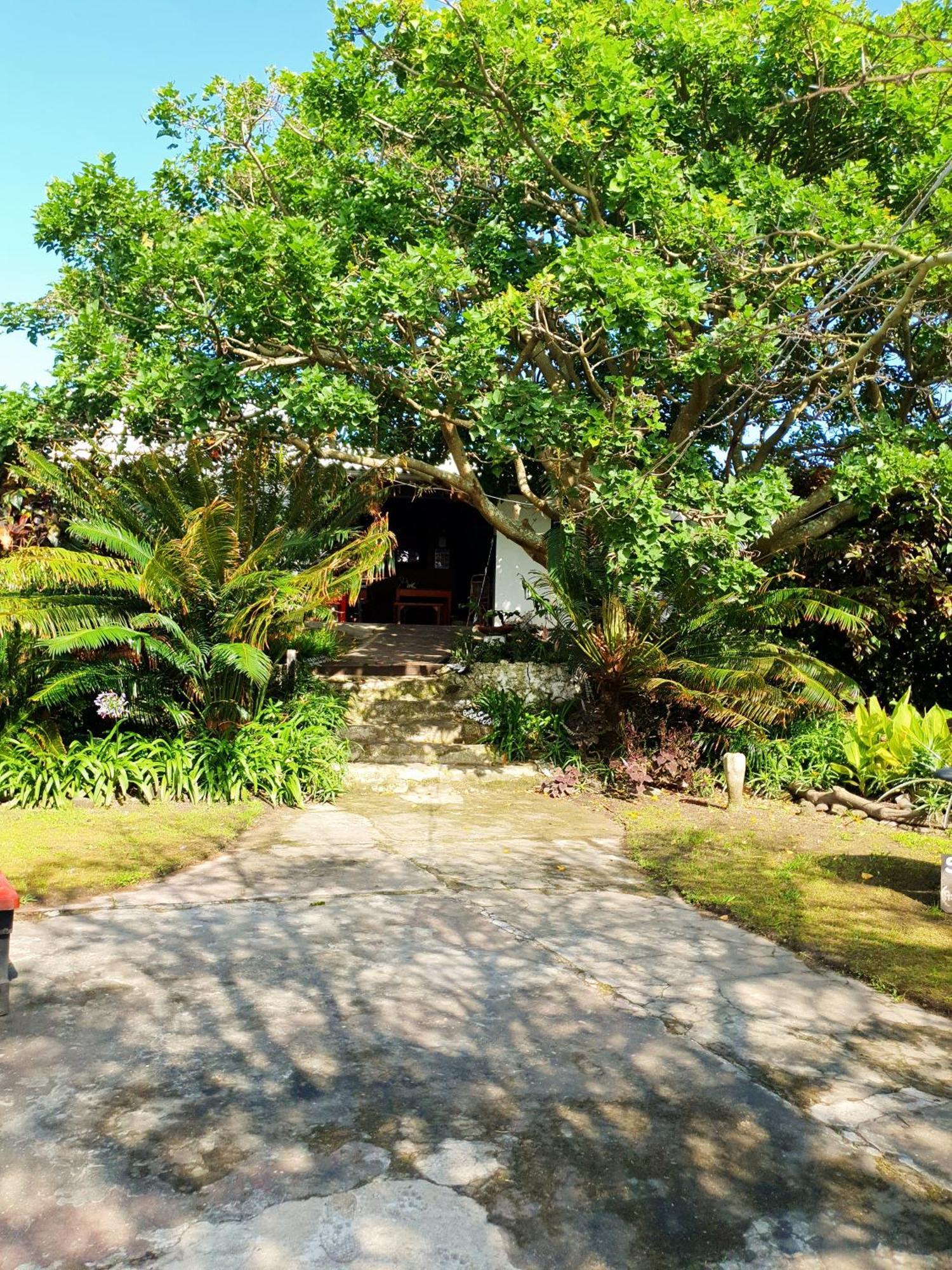 Sunset Bed And Breakfast Coffee Bay Buitenkant foto